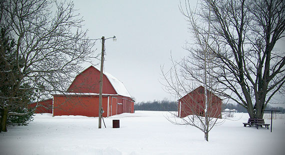 Helena, Ohio barn and corn crib
