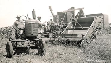 Combining alfalfa seed - Farmall A tractor - AC Row Crop 66 Combine