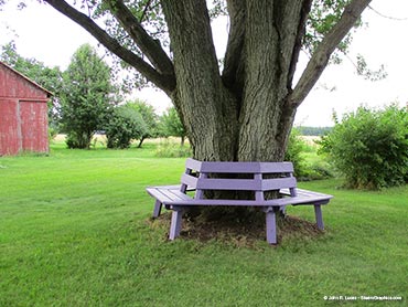 Round Tree Bench