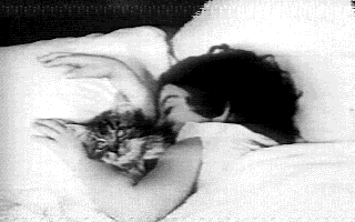 sleep like a kitten c and o railroad